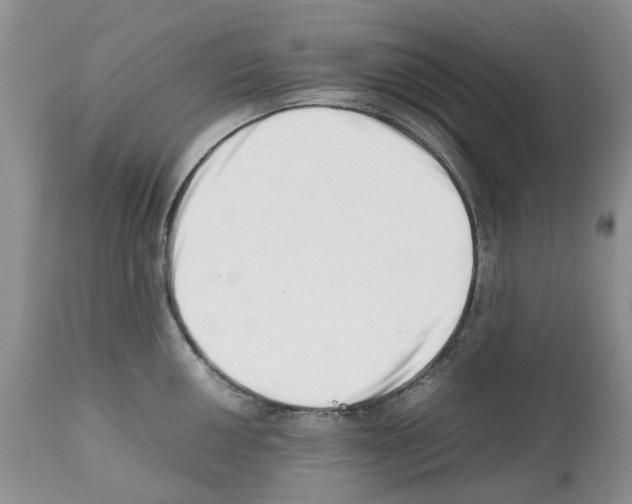 X0000112491050200909281128
