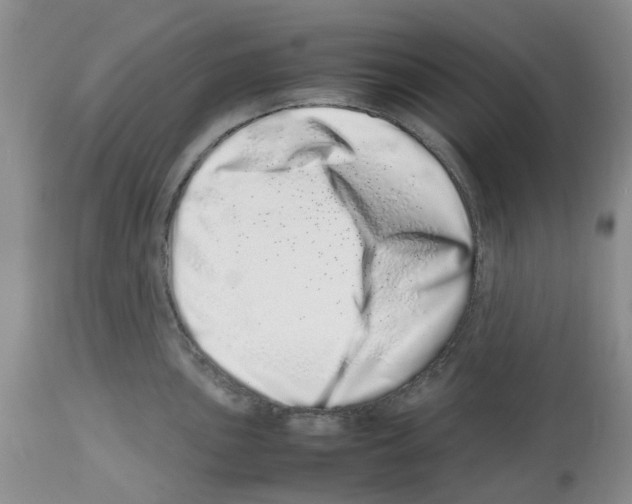 X0000112491051200909281128