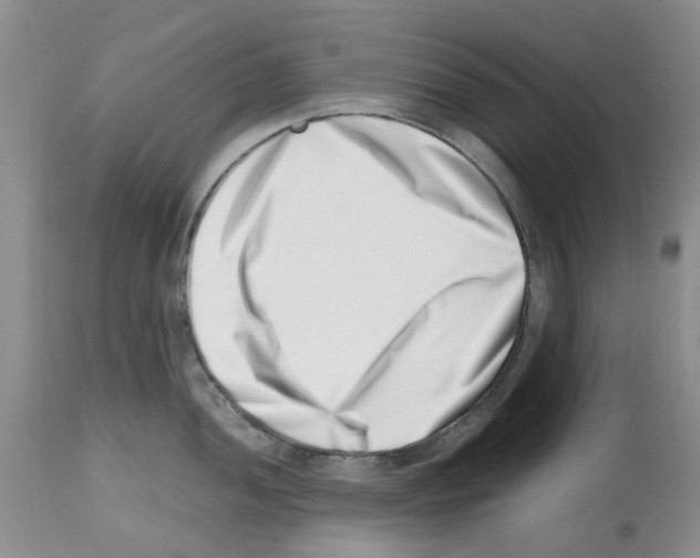 X0000112491052200909281128