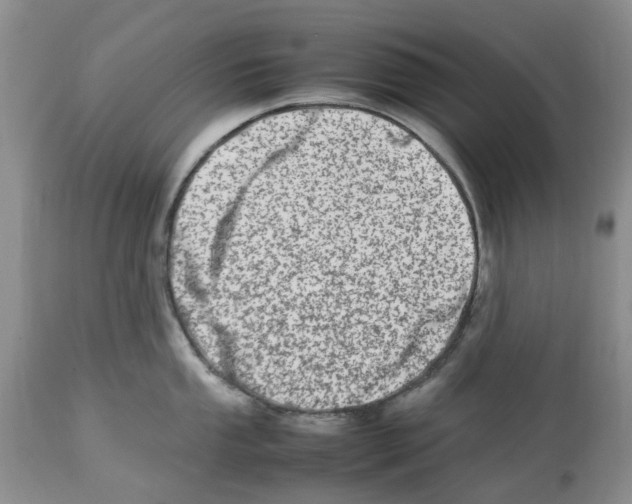 X0000112491053200909281128