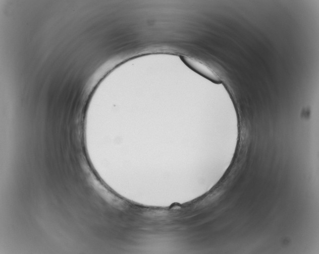X0000112491054200909281128
