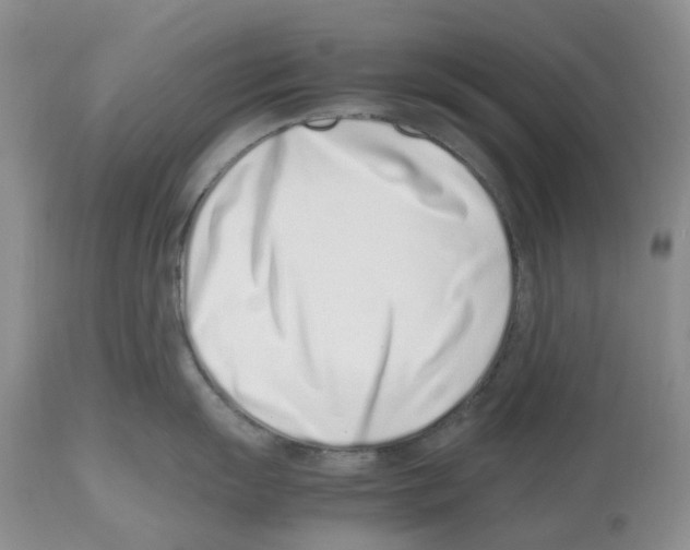 X0000112491055200909281128