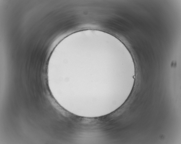 X0000112491056200909281128