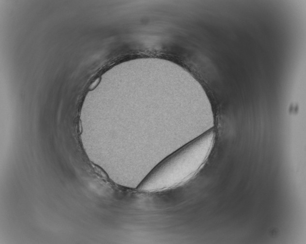 X0000112491057200909281127