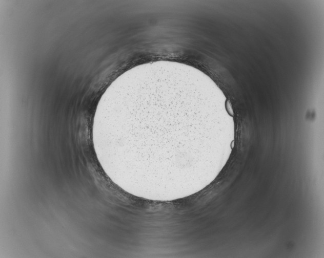 X0000112491058200909281127