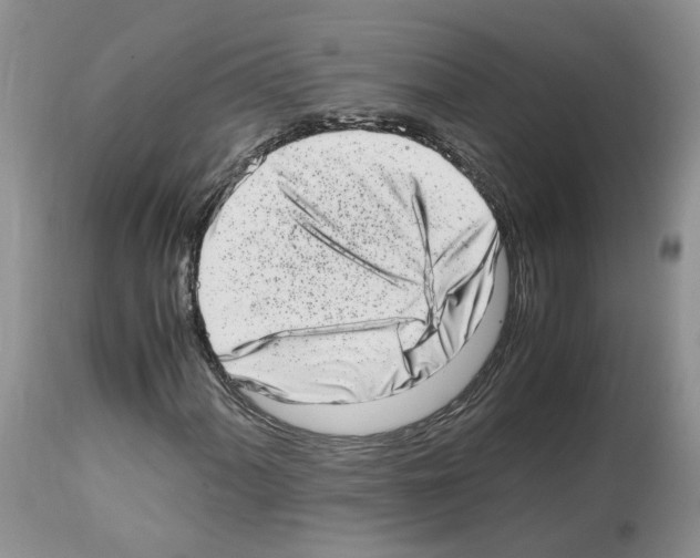 X0000112491060200909281127