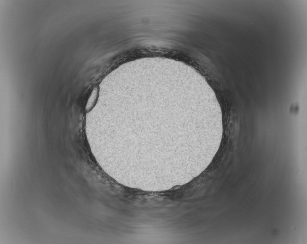 X0000112491061200909281127
