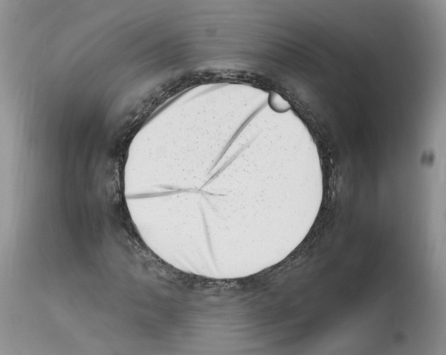 X0000112491062200909281127
