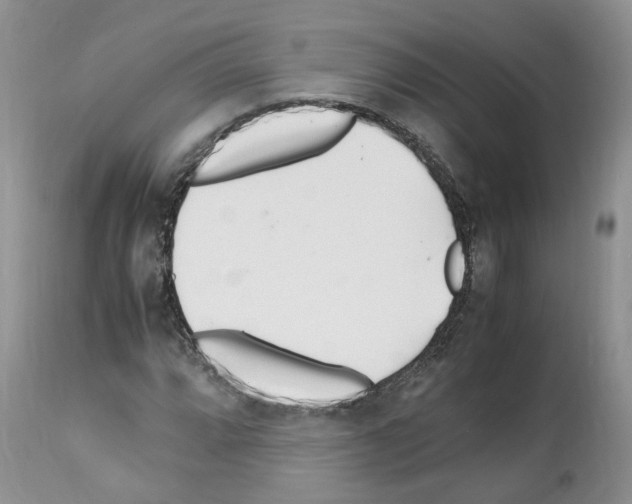 X0000112491064200909281127