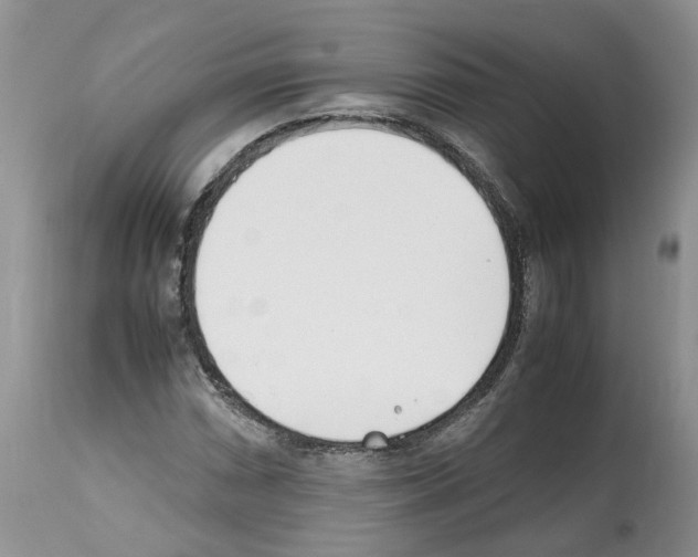 X0000112491066200909281127