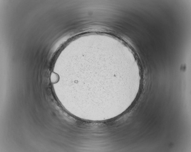 X0000112491067200909281127