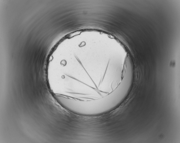 X0000112491068200909281127