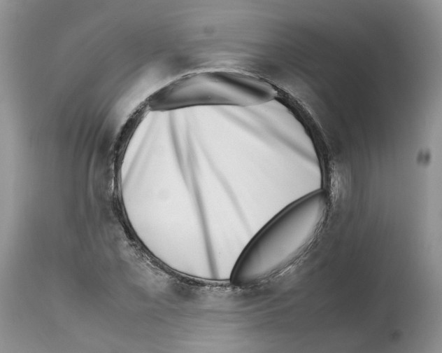 X0000112491069200909281127