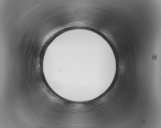 X0000112491070200909281127