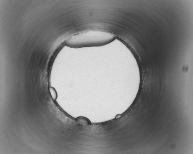 X0000112491072200909281127