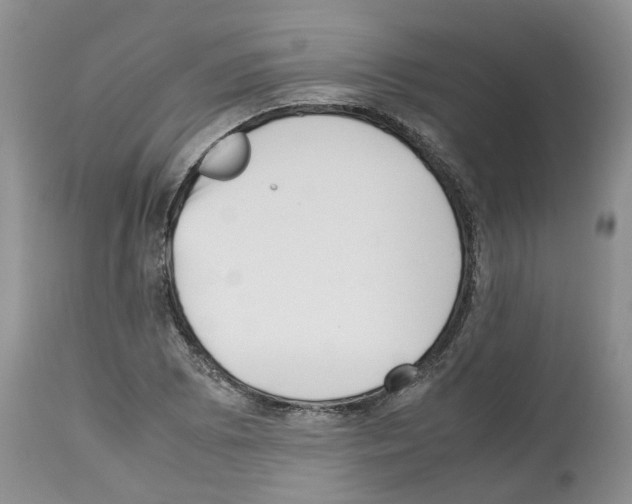 X0000112491073200909281127