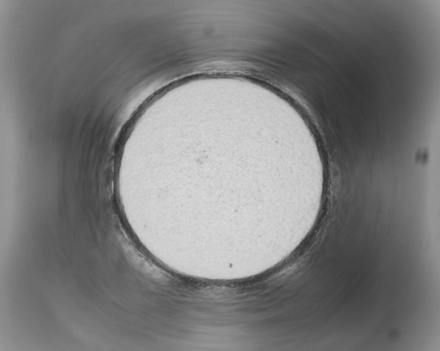 X0000112491075200909281127