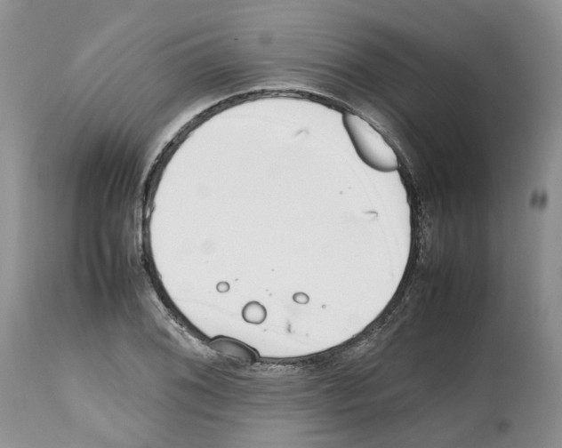 X0000112491076200909281127