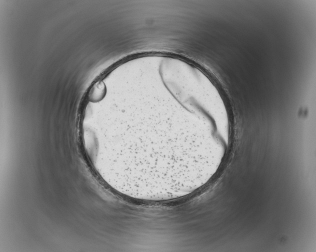 X0000112491077200909281127