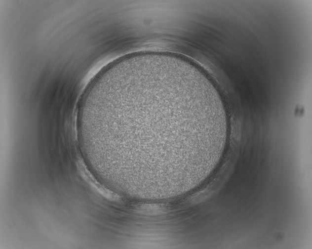 X0000112491078200909281127