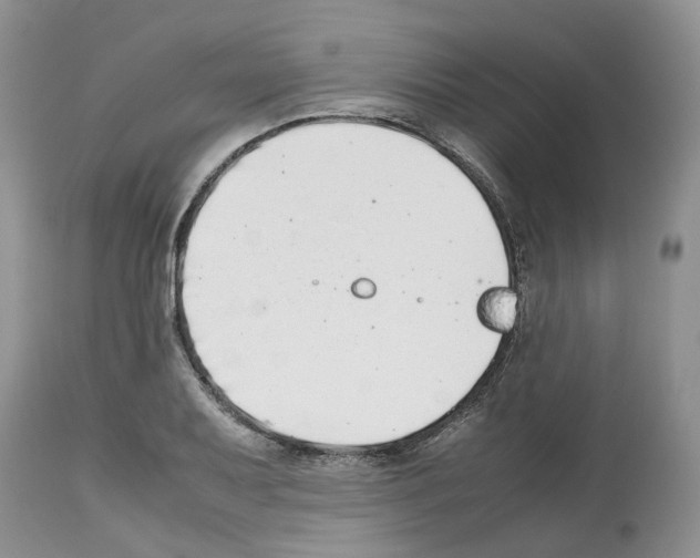 X0000112491079200909281127