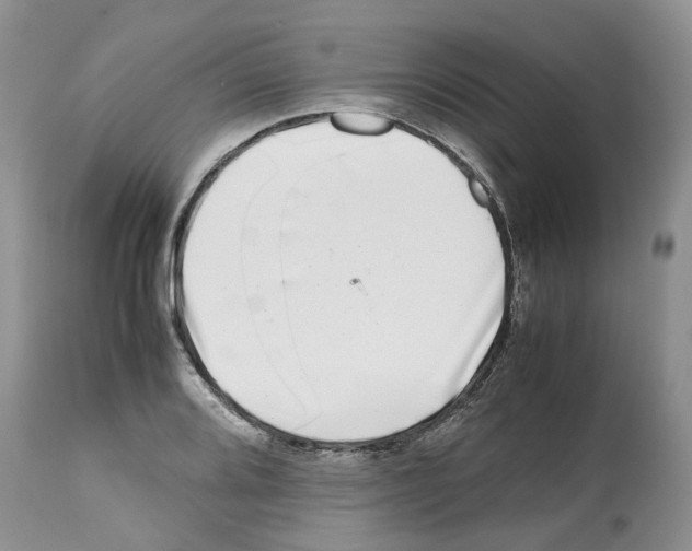 X0000112491080200909281127