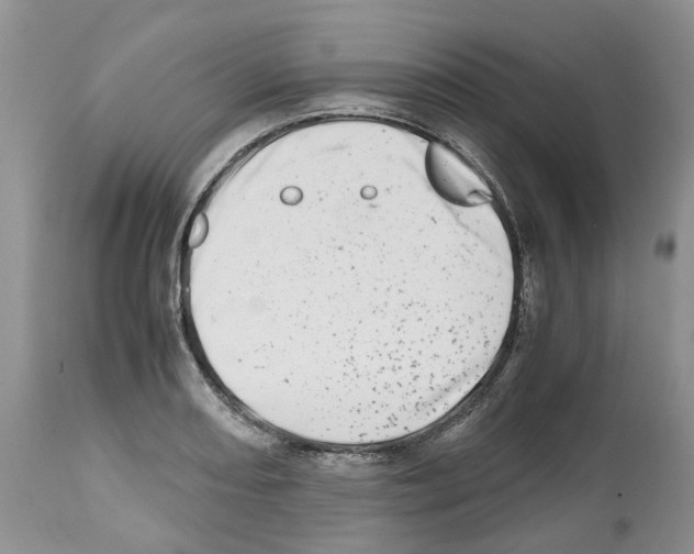 X0000112491082200909281127