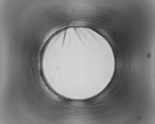 X0000112491083200909281127