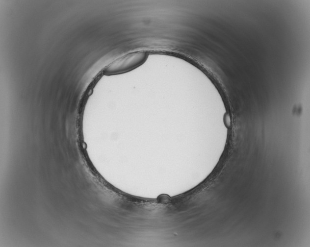 X0000112491085200909281127