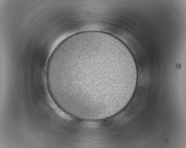X0000112491086200909281127