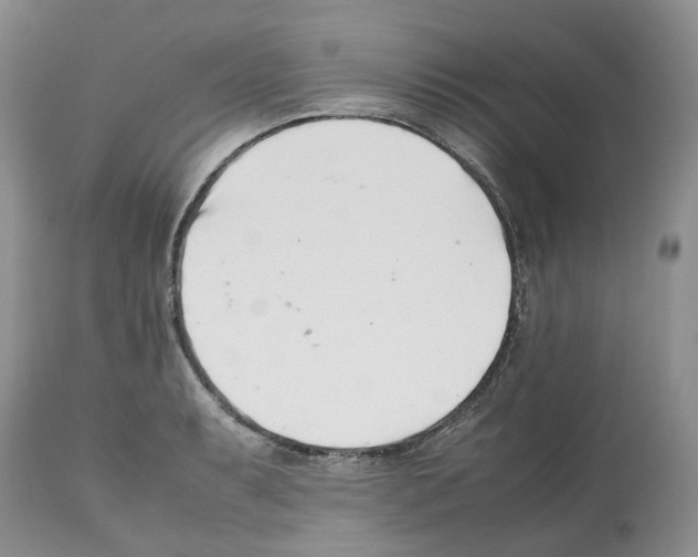 X0000112491087200909281127