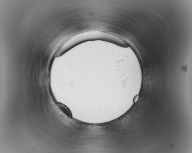 X0000112491088200909281127