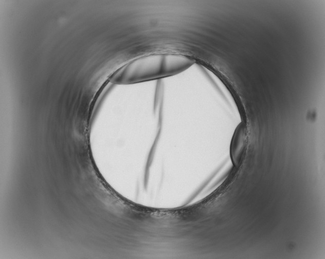 X0000112491089200909281127