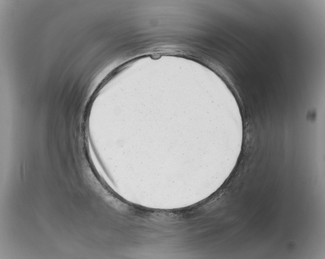 X0000112491091200909281127