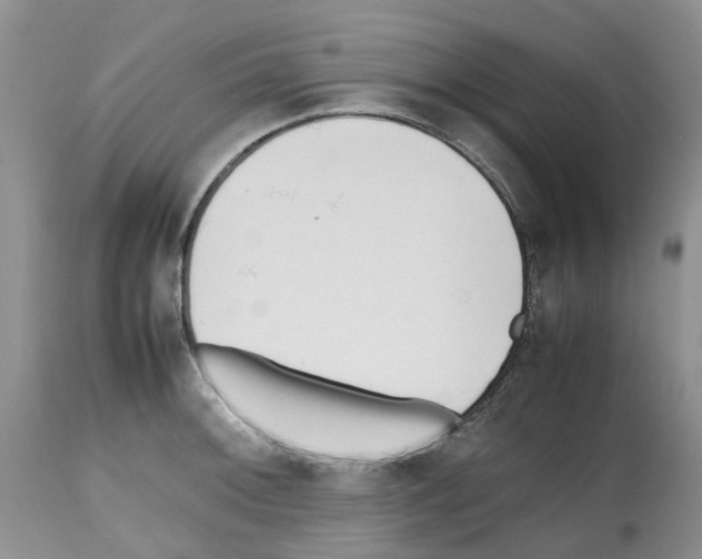X0000112491092200909281127