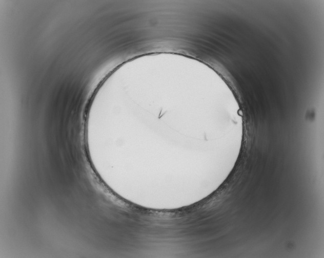 X0000112491096200909281127