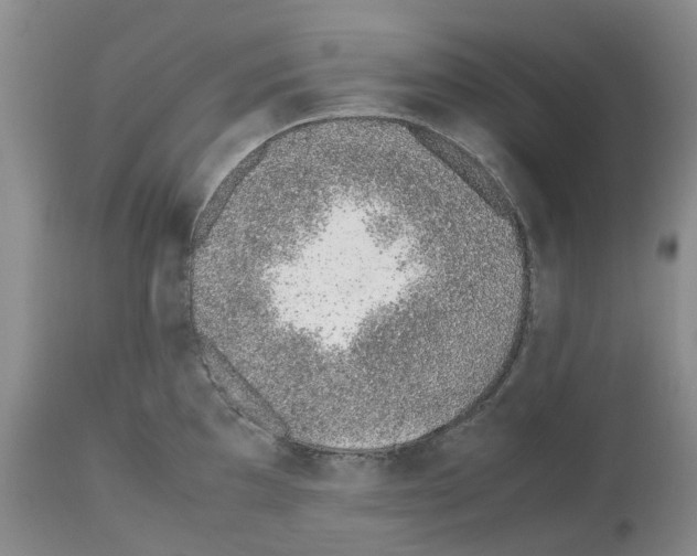 X0000112491097200909281127