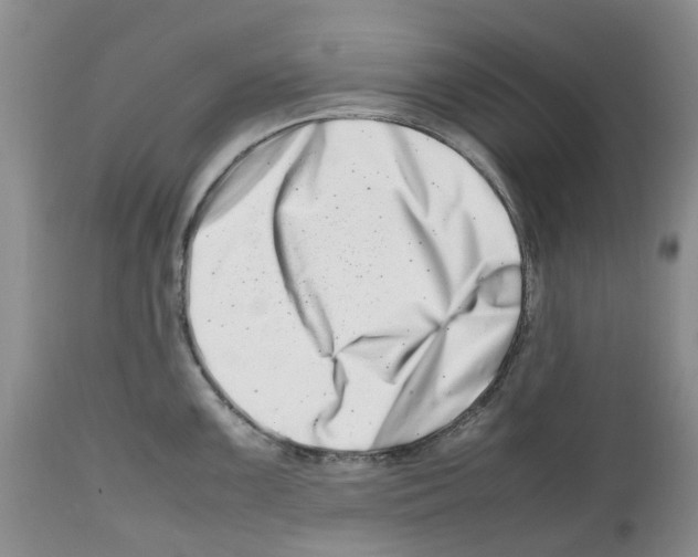 X0000112491099200909281127