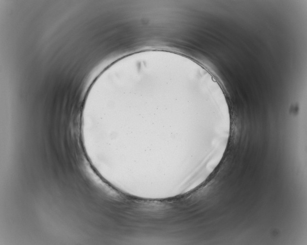 X0000112491100200909281127