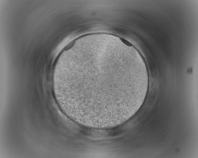 X0000112491101200909281127