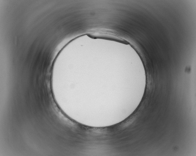 X0000112491102200909281127