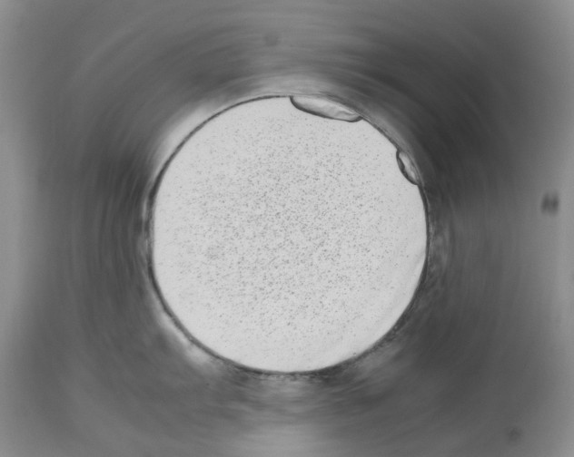 X0000112491103200909281127