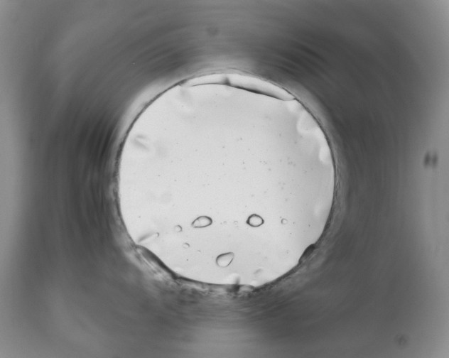 X0000112491104200909281127