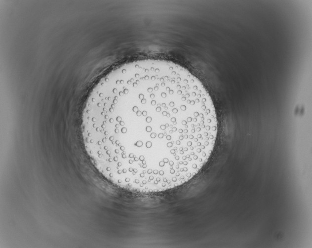 X0000112491105200909281126