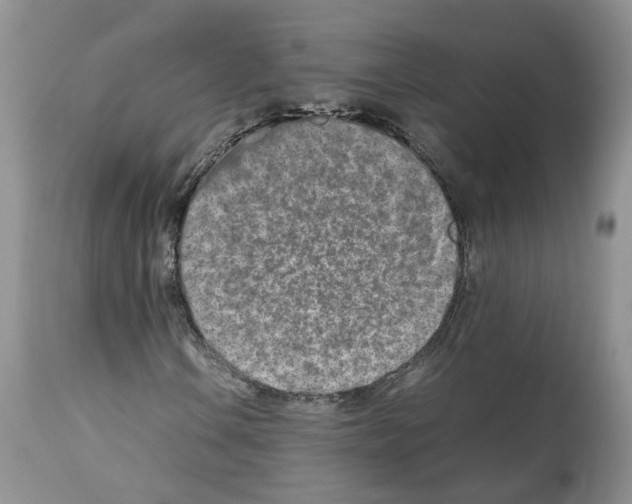 X0000112491106200909281126