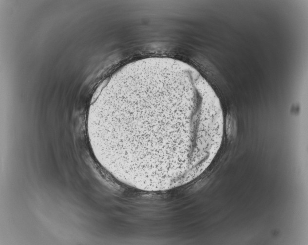 X0000112491107200909281126