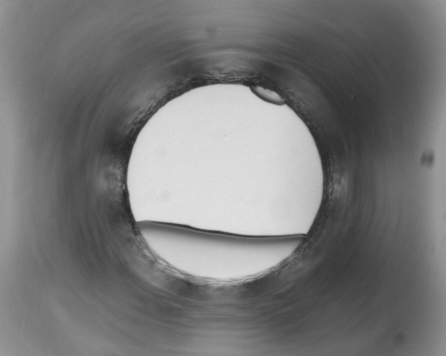 X0000112491108200909281126