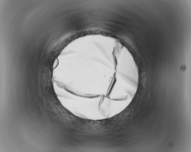 X0000112491111200909281126