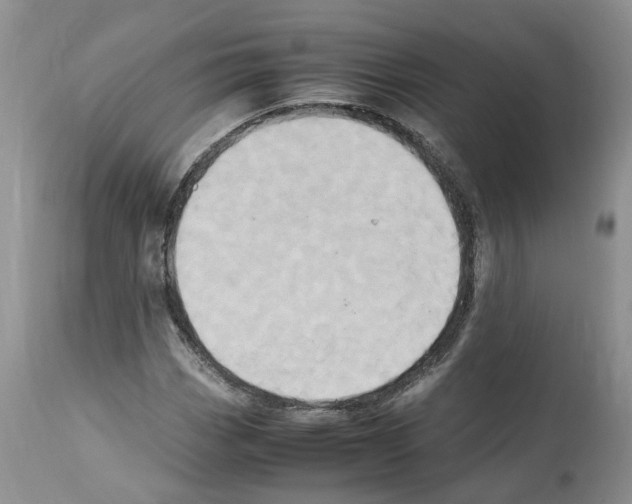 X0000112491113200909281126