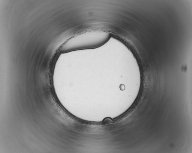 X0000112491114200909281126